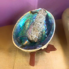 Abalone Shell & Wood Stand Sage Burner W/Sage