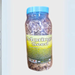 Moringa Seed