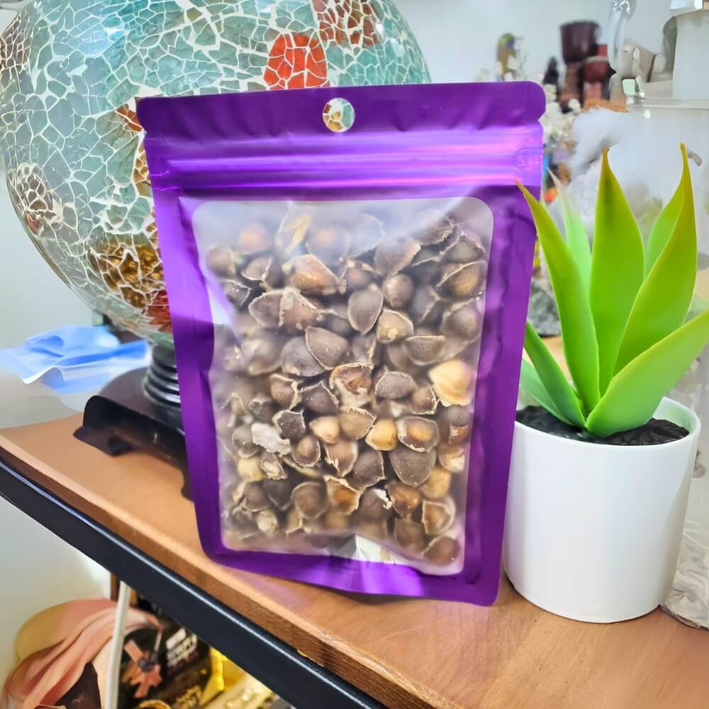 Moringa Seeds – 120-130 Count