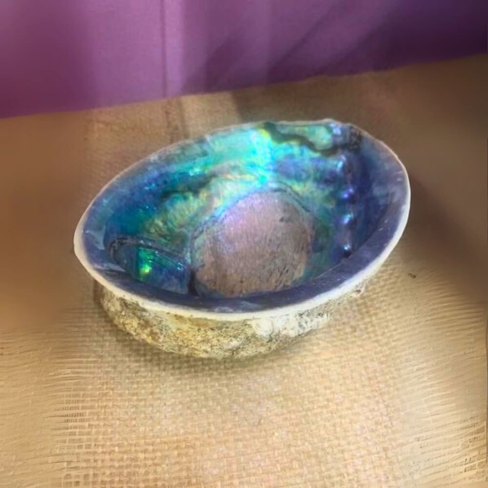 Sage Burner Abalone Shell